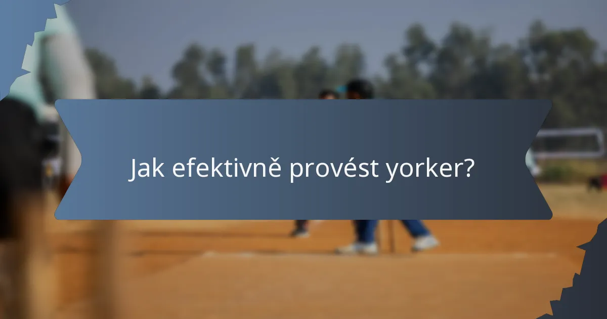 Jak efektivně provést yorker?